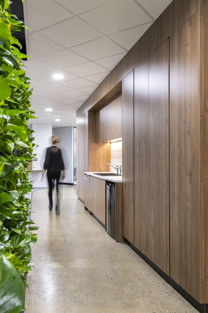 索尼悉尼办事处