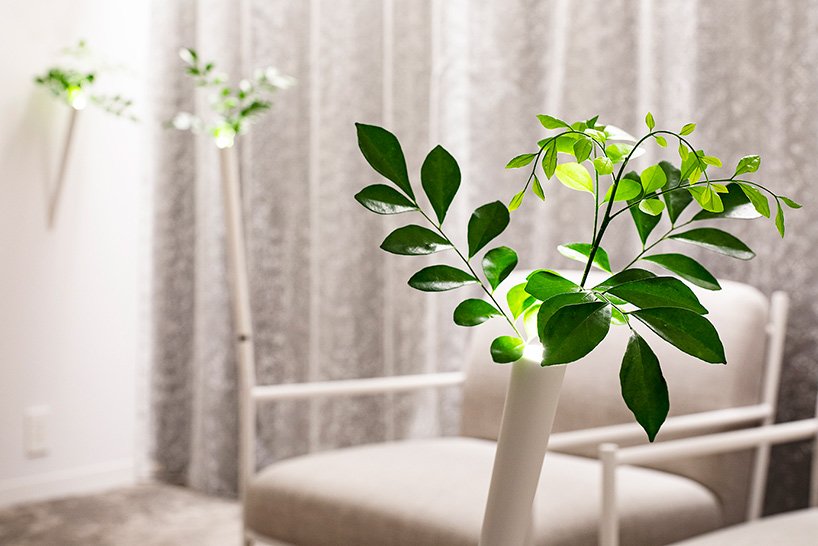 藤本壮介设计的白屋酒店将在日本前桥开业,提供设计师客房 藤本壮介设计的白屋酒店将在日本前桥开业,提供设计师客房