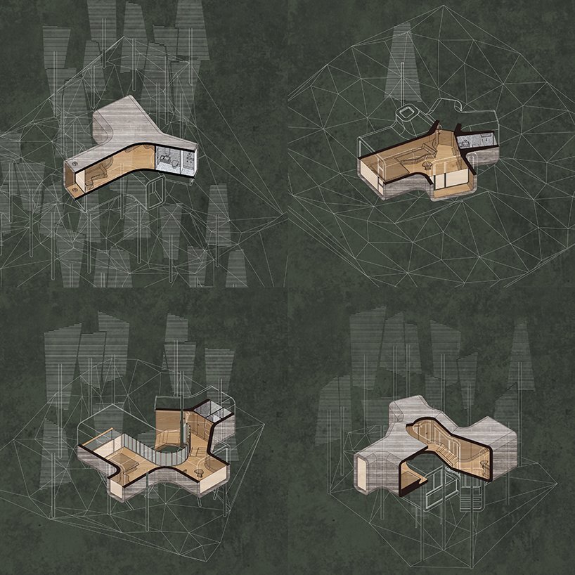 一群树枝状的小屋让居民更接近自然 一群树枝状的小屋让居民更接近自然