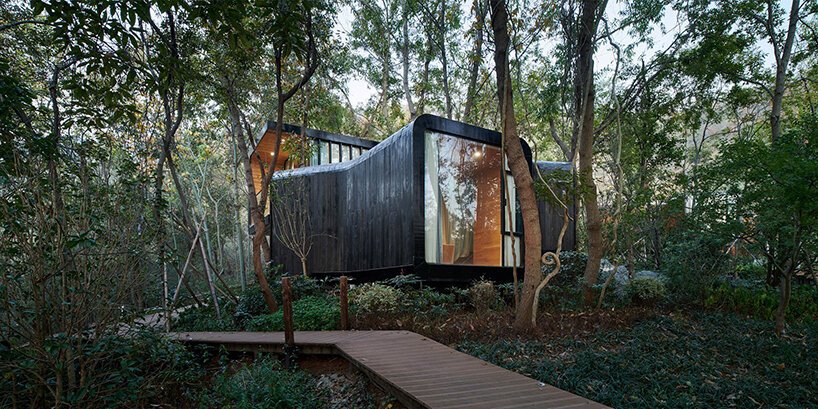 一群树枝状的小屋让居民更接近自然 一群树枝状的小屋让居民更接近自然