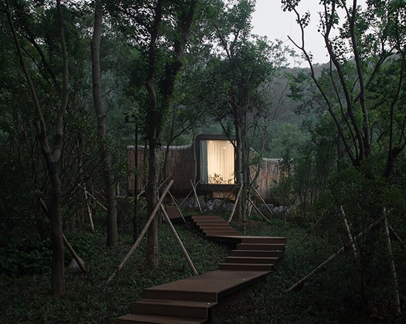 一群树枝状的小屋让居民更接近自然 一群树枝状的小屋让居民更接近自然