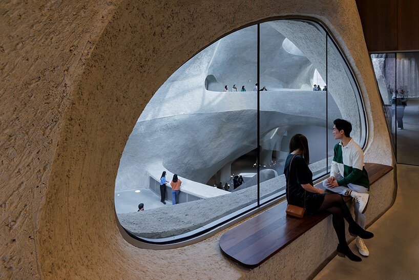 image by Alvaro Keding © AMNH