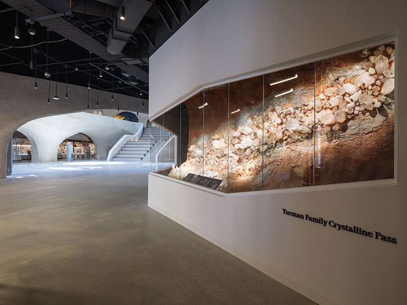 image by Alvaro Keding © AMNH