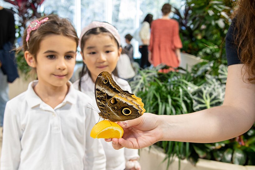 image by Alvaro Keding © AMNH