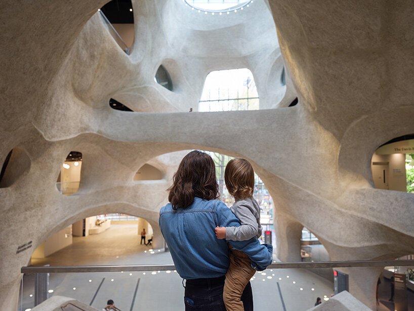image by Alvaro Keding © AMNH