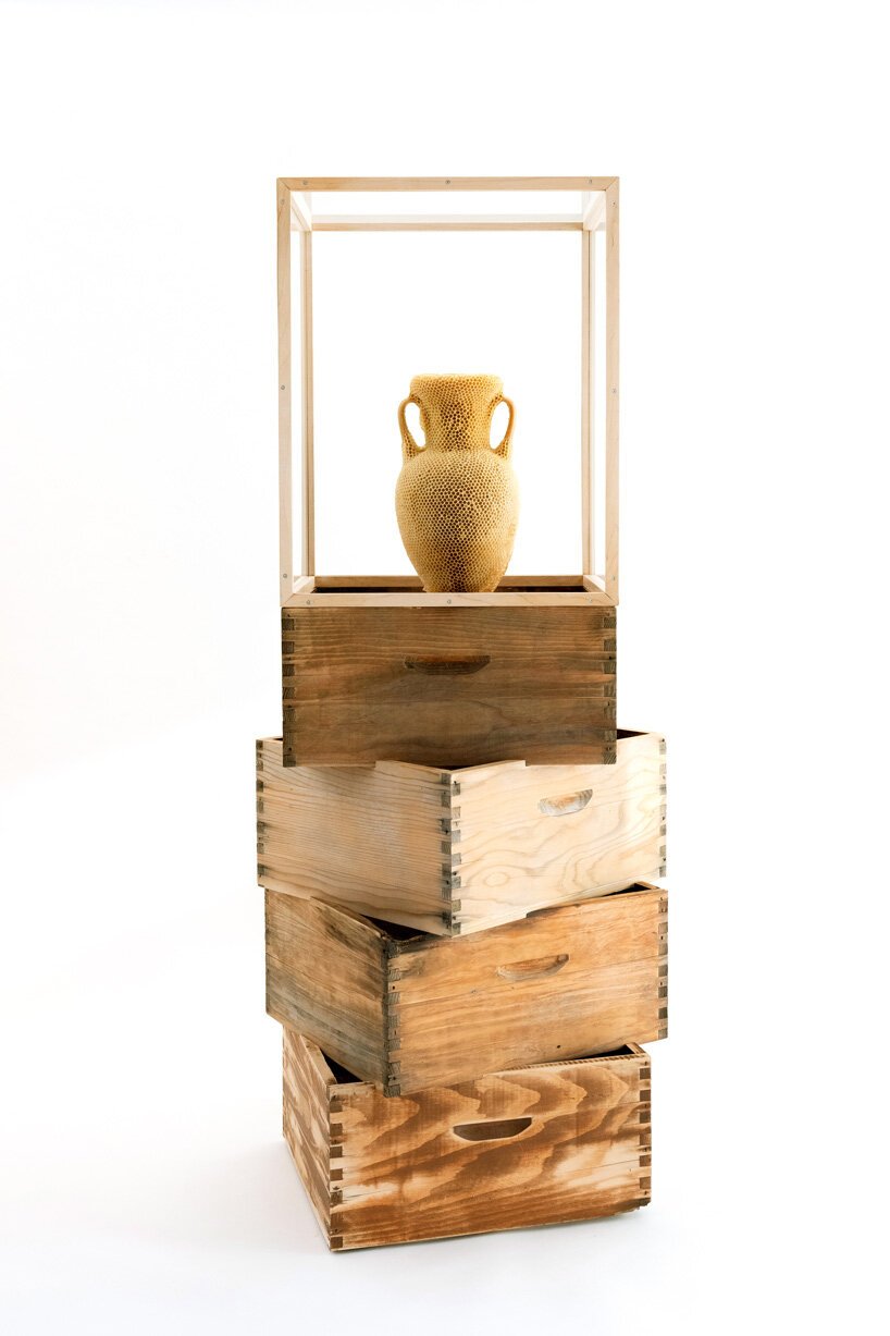 tomáš libertíny 与 60,000 只蜜蜂一起雕刻了蜂蜡版本的奈费尔蒂蒂半身像 tomáš libertíny 与 60,000 只蜜蜂一起雕刻了蜂蜡版本的奈费尔蒂蒂半身像