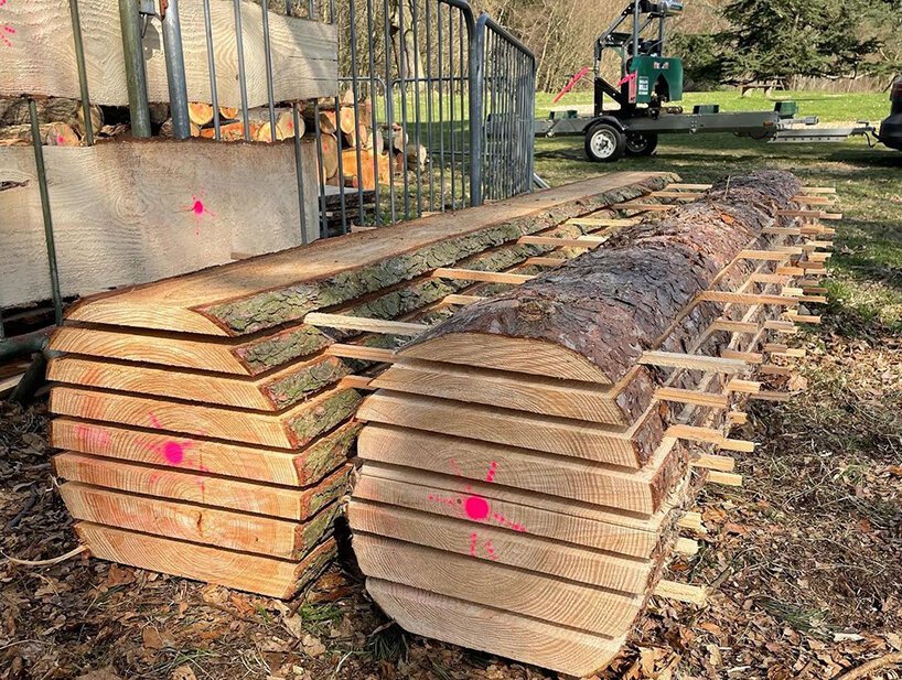 Sebastian Cox 设计的“sylvascope”树屋探索了英国的林地护理