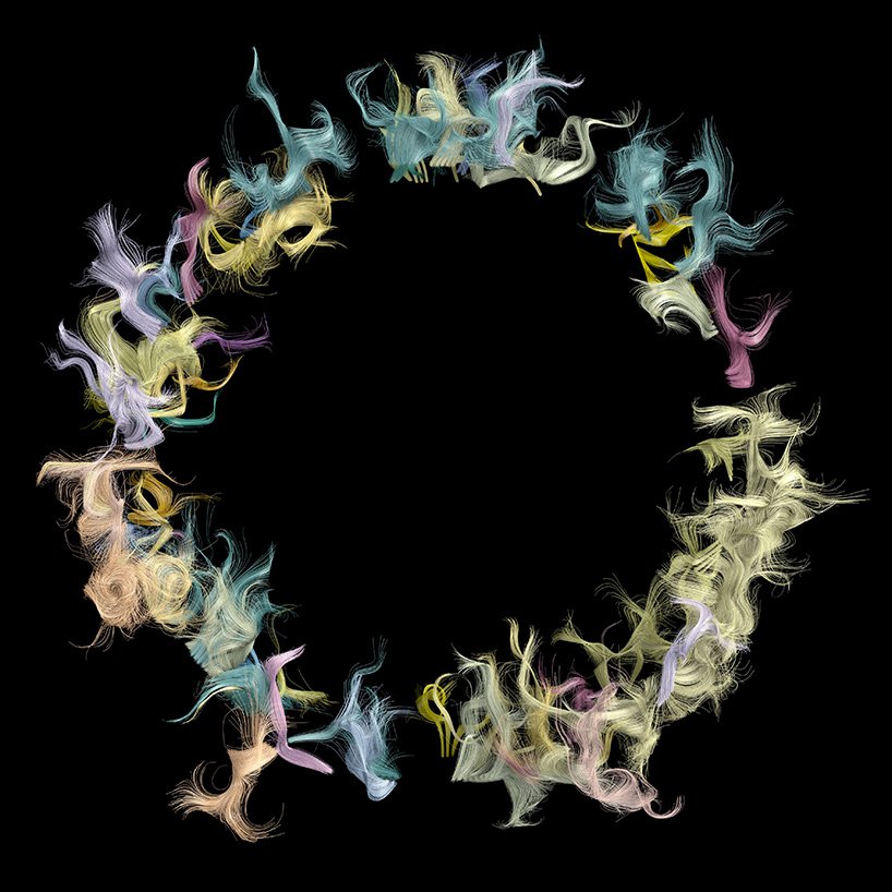 synaesthetic sanctuary an audio visual exploration of new zealand bird song 1