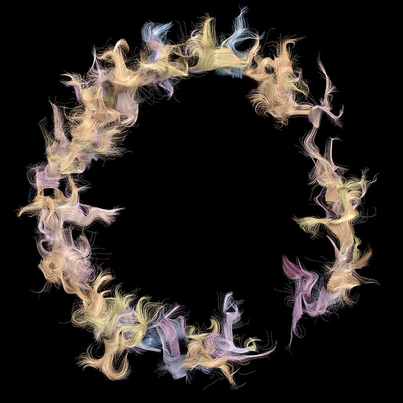 synaesthetic sanctuary an audio visual exploration of new zealand bird song 1