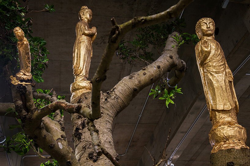 西达津论艺术拓展想象力的力量