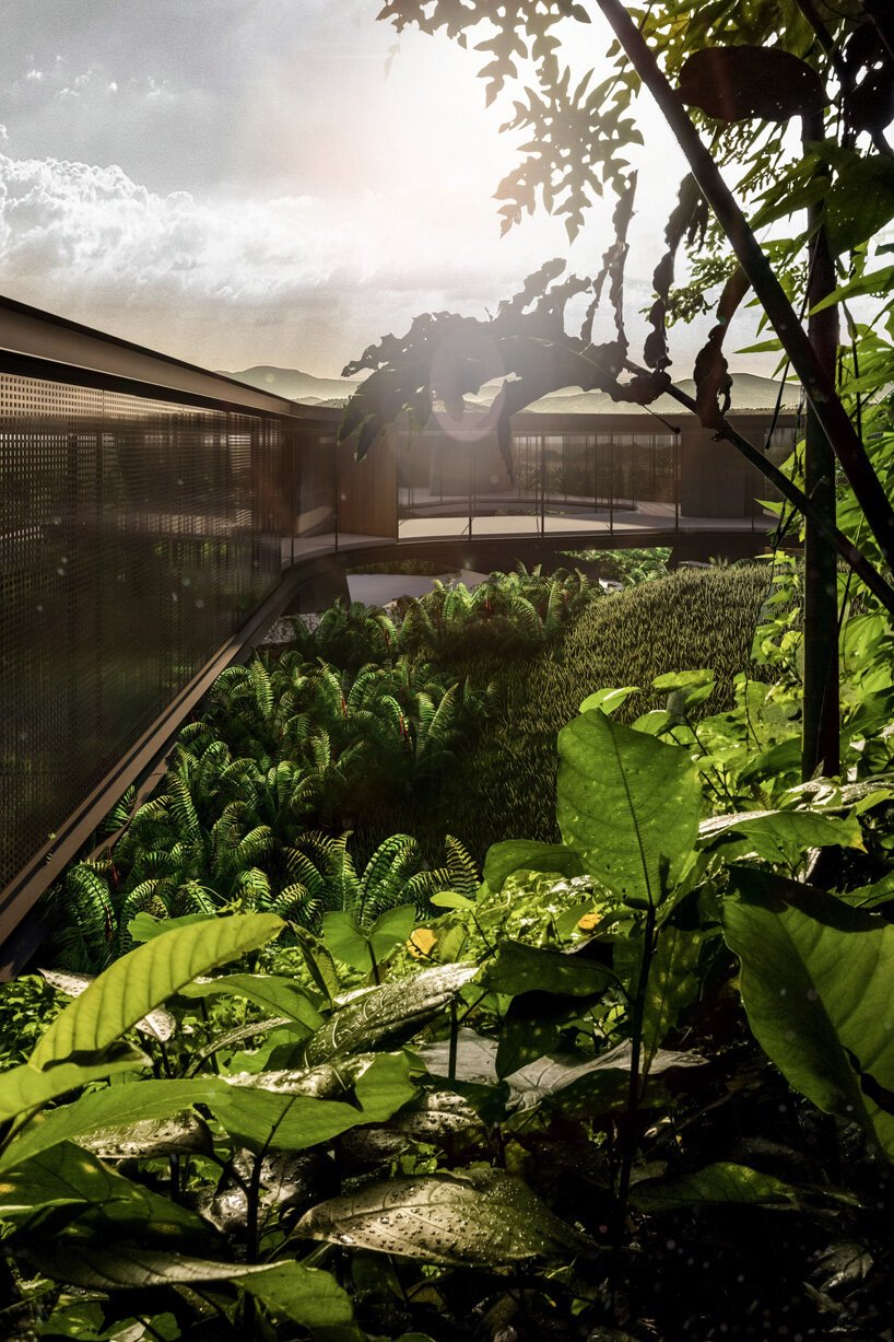 厚实的混凝土柱子支撑着巴西 tetro arquitetura xingu 住宅