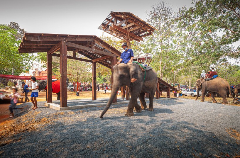 威尼斯双年展泰国馆研究大象和人类的共享建筑
