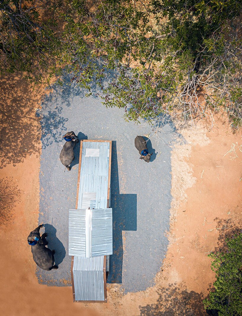 威尼斯双年展泰国馆研究大象和人类的共享建筑