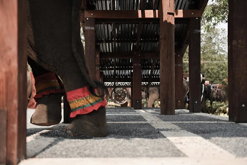 威尼斯双年展泰国馆研究大象和人类的共享建筑