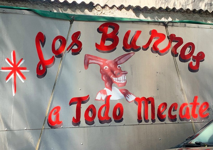 库尔特·霍兰德谈墨西哥城禁止所有彩色手绘街头摊位标志