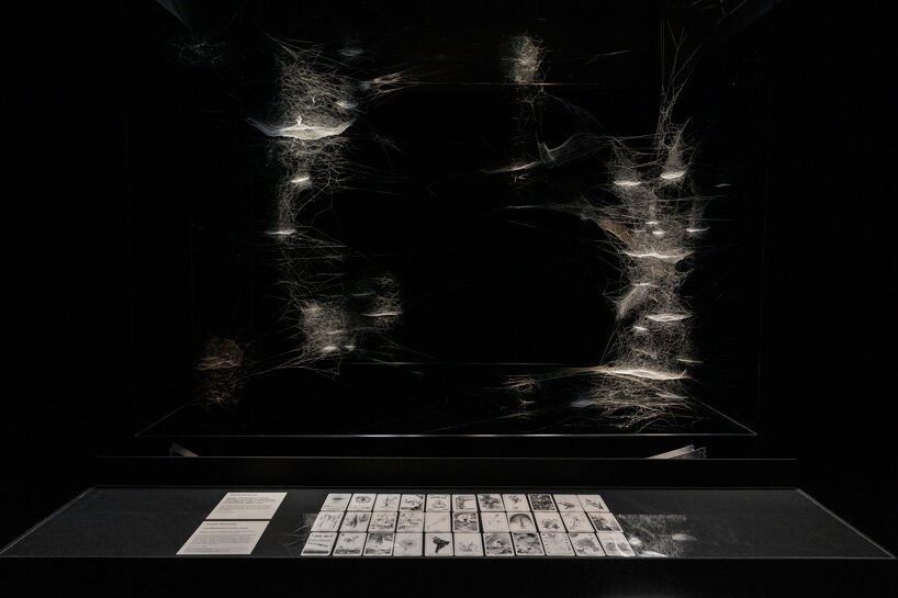 tiktokers 很喜欢 Tomás Saraceno 在纽约的大型蜘蛛网装置 tiktokers 很喜欢 Tomás Saraceno 在纽约的大型蜘蛛网装置