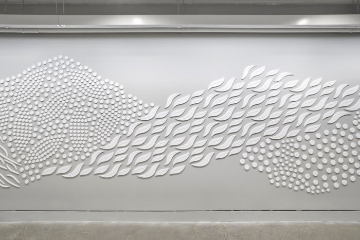 荒野协会办事处 - 华盛顿特区