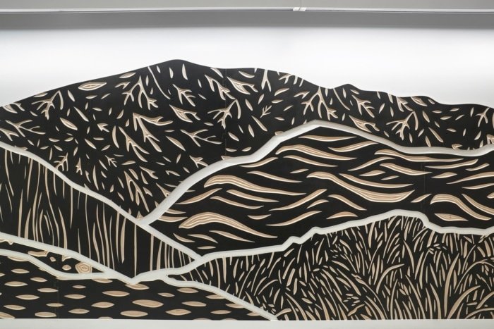 荒野协会办事处 - 华盛顿特区