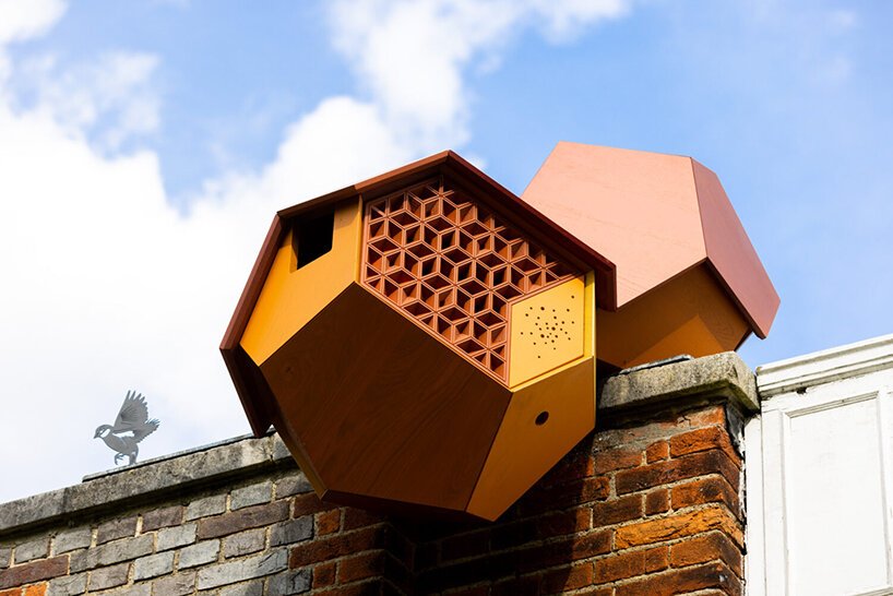 采访:托马斯·萨拉切诺谈生态社会责任和“生命之网”蛇形展览 采访:托马斯·萨拉切诺谈生态社会责任和“生命之网”蛇形展览