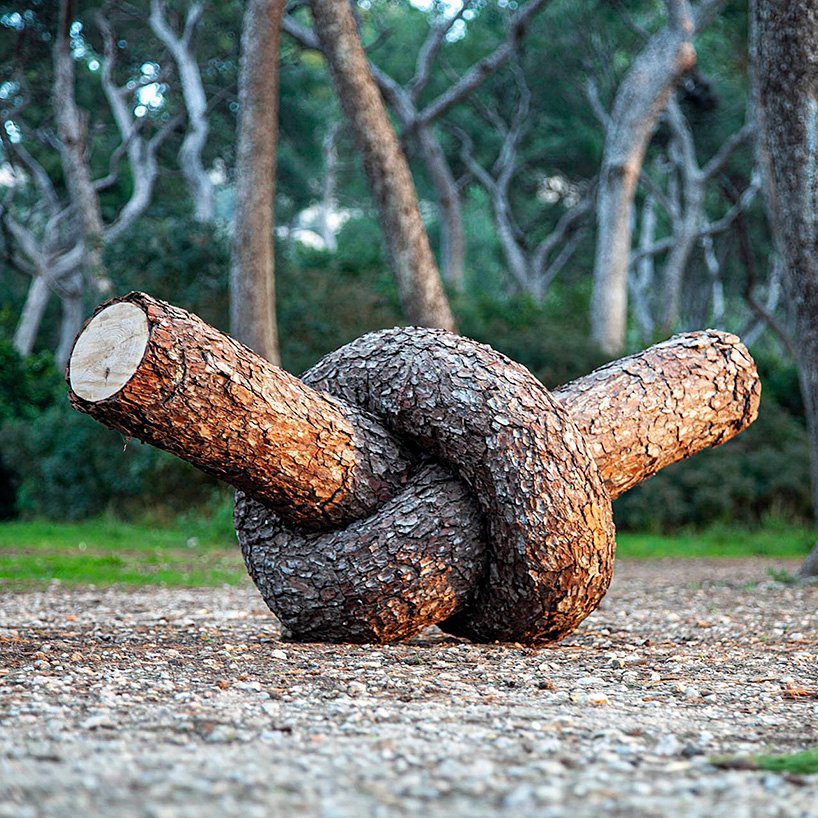 植物先生扭曲奇幻的树干雕塑,探索自然的力量 植物先生扭曲奇幻的树干雕塑,探索自然的力量