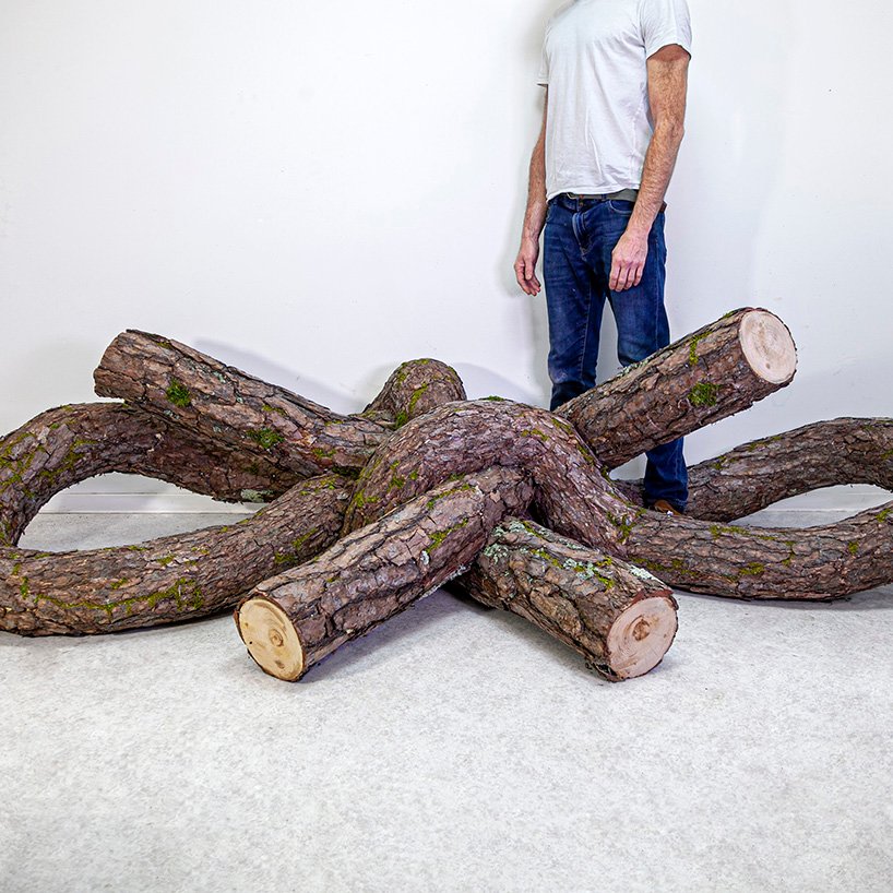 植物先生扭曲奇幻的树干雕塑,探索自然的力量 植物先生扭曲奇幻的树干雕塑,探索自然的力量