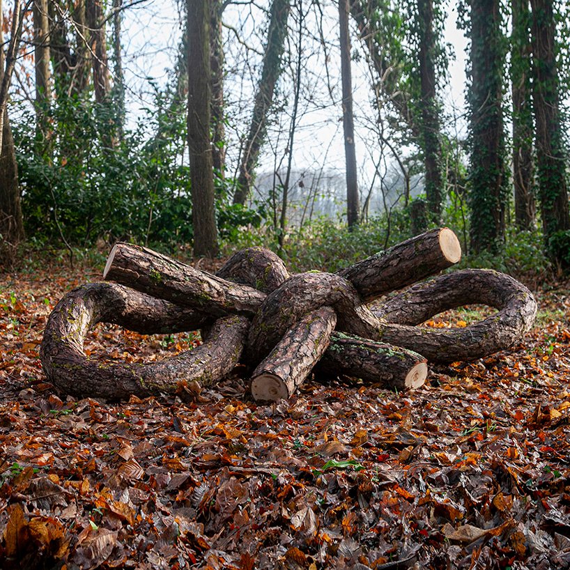 植物先生扭曲奇幻的树干雕塑,探索自然的力量 植物先生扭曲奇幻的树干雕塑,探索自然的力量