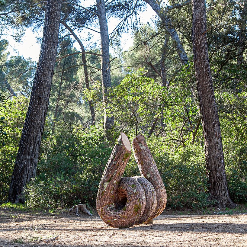 植物先生扭曲奇幻的树干雕塑,探索自然的力量 植物先生扭曲奇幻的树干雕塑,探索自然的力量