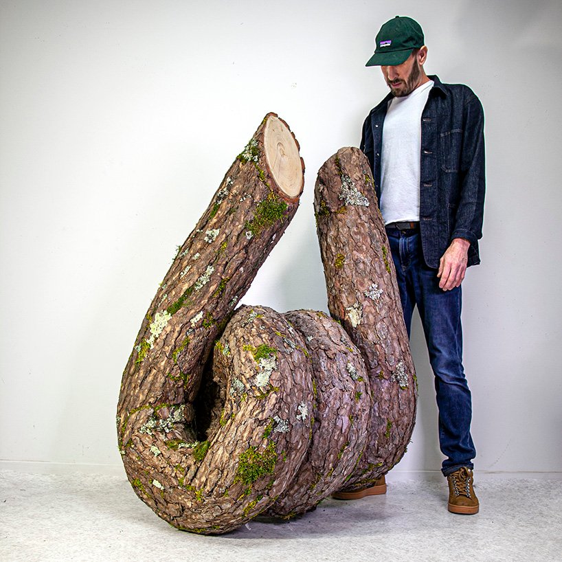 植物先生扭曲奇幻的树干雕塑,探索自然的力量 植物先生扭曲奇幻的树干雕塑,探索自然的力量