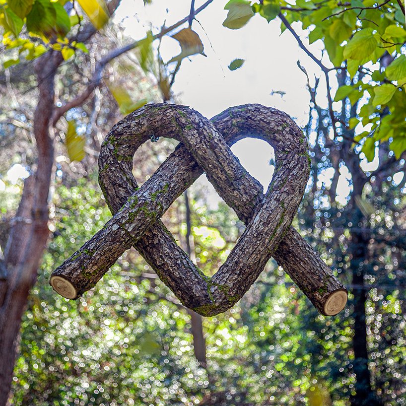 植物先生扭曲奇幻的树干雕塑,探索自然的力量 植物先生扭曲奇幻的树干雕塑,探索自然的力量