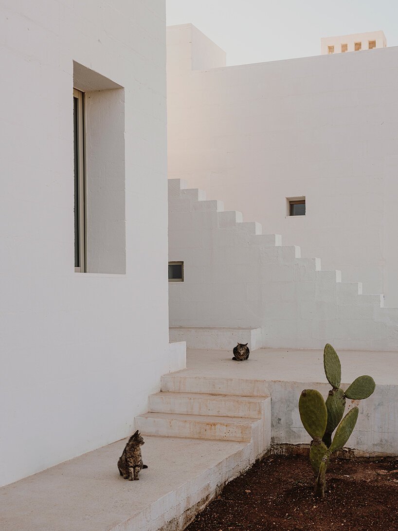 andrew trotter villa cardo
