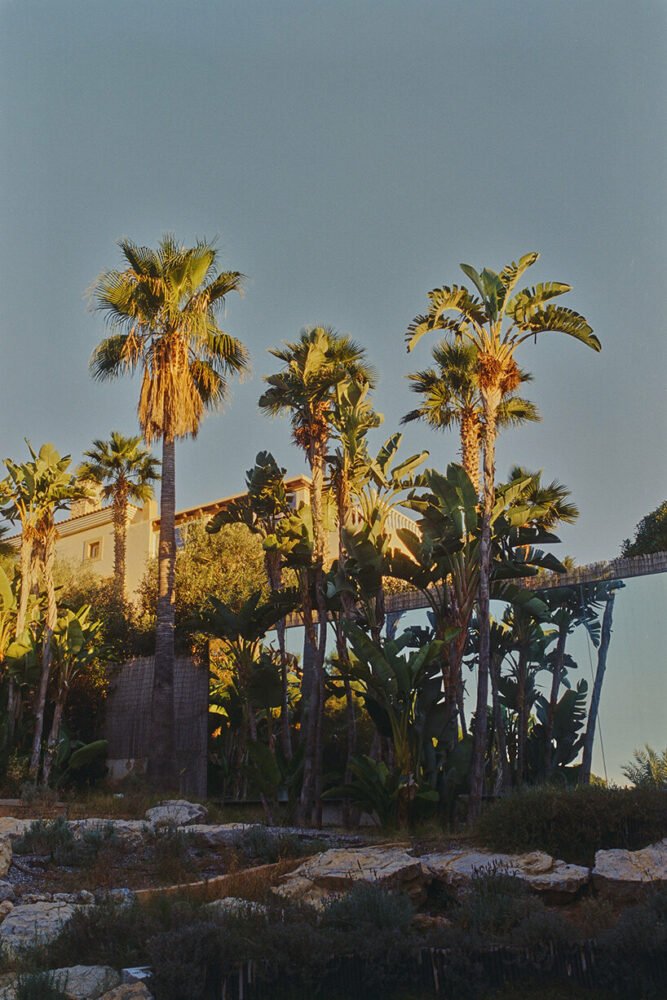 david altrath 拍摄的“地中海别墅”透过竹屏凝视伊比萨岛