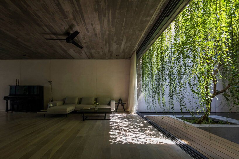 开放式庭院和郁郁葱葱的绿色植物完成了 MIA 设计工作室在越南的混凝土房屋