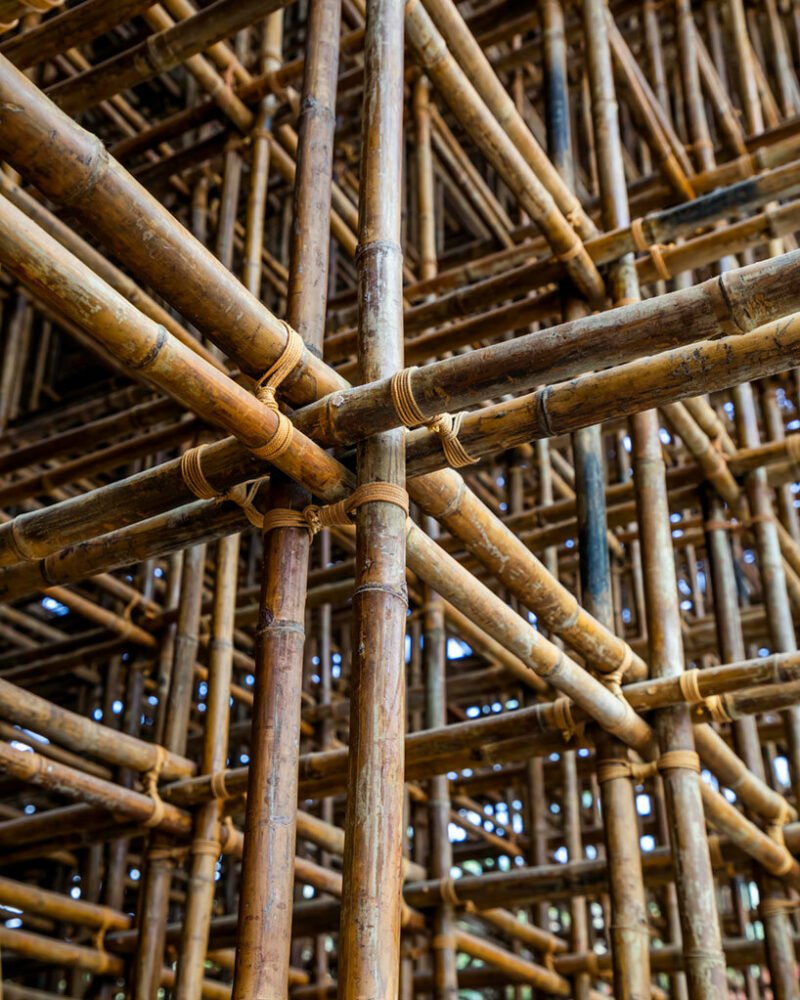 观看 VTN 错综复杂的竹制迎宾中心以其雕塑般的拱顶过滤阳光