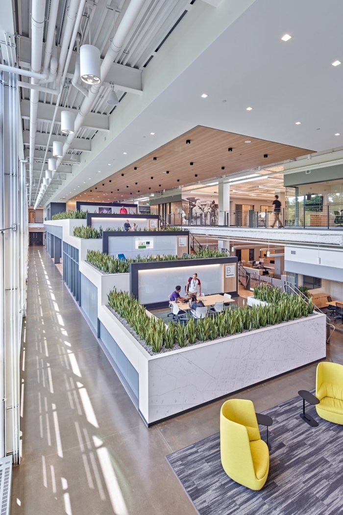 瓦克化学办事处 – 皮茨菲尔德查特镇