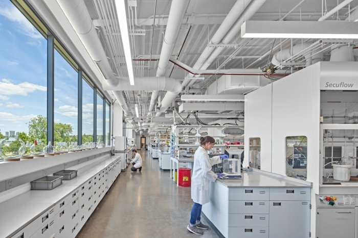 瓦克化学办事处 – 皮茨菲尔德查特镇