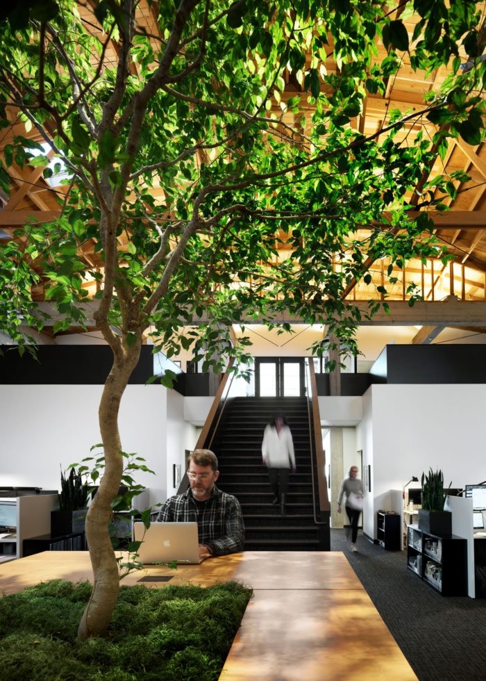 世界发展协会 | 威廉·达夫建筑师事务所 – 旧金山