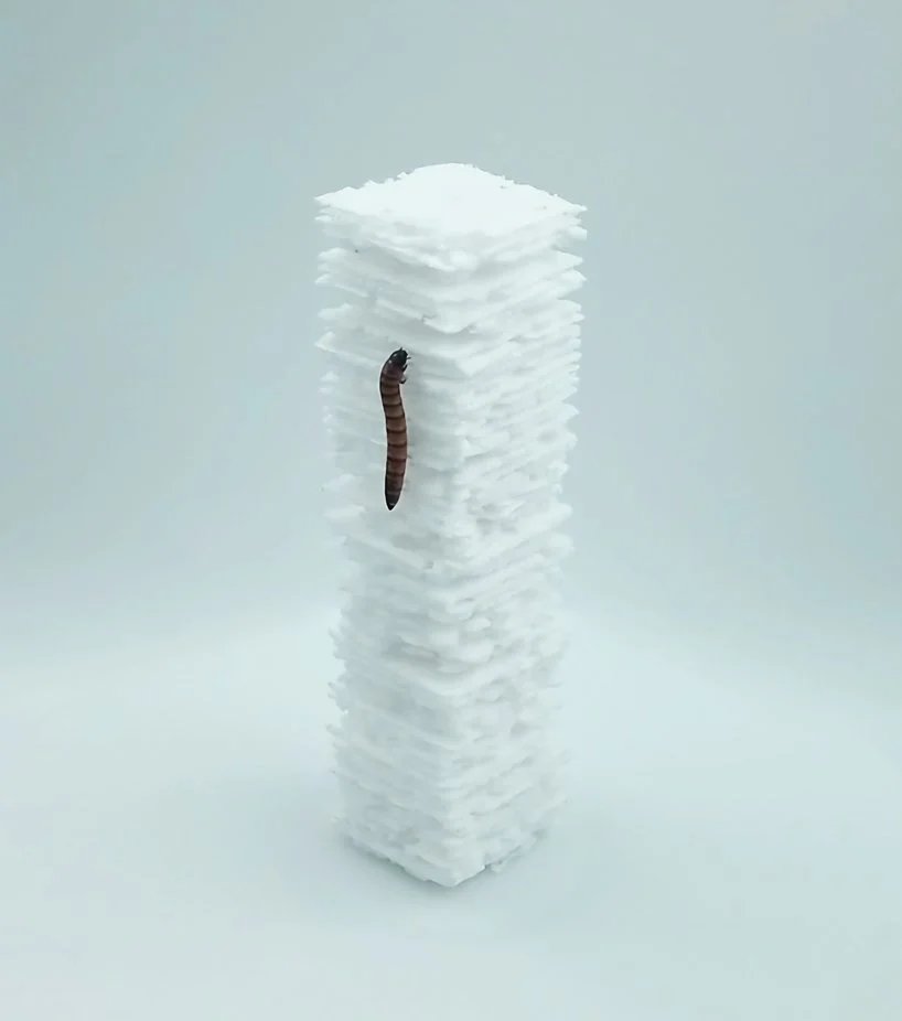 2020 年读者投稿前 10 名 - 社会影响 2020 年读者投稿前 10 名 - 社会影响