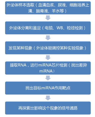 [国自然思路] 从 Nature 子刊窥视外泌体的研究方向