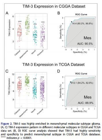 5.3 分的生信文章解读——一篇有关神经胶质瘤与 TIM- 3 基因的纯生信文章