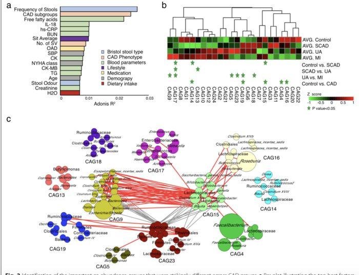 文献推荐 - 肠道微生物群和代谢变化与冠状动脉疾病严重程度的关系