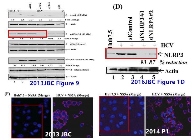 造假牛人 Gulam Waris1 年内才被撤稿 5 篇 SCI！又有 6 篇文章被质疑
