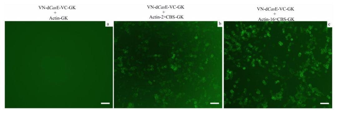 经历过人人喊打，韩春雨正式“复出”？