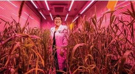 ​CRISPR 之中美对垒，中国强势崛起，正在成为全球领军者！