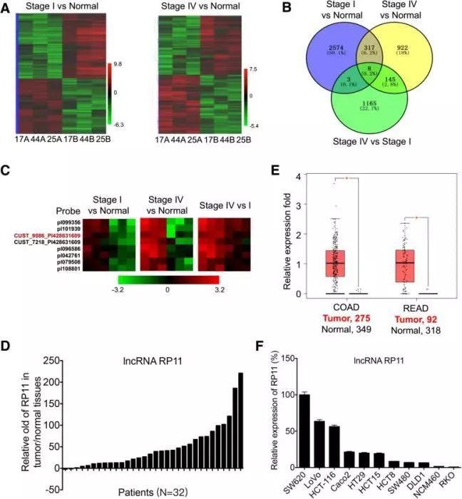 2019 年国自然两个热点研究方向（m6A、lncRNA）