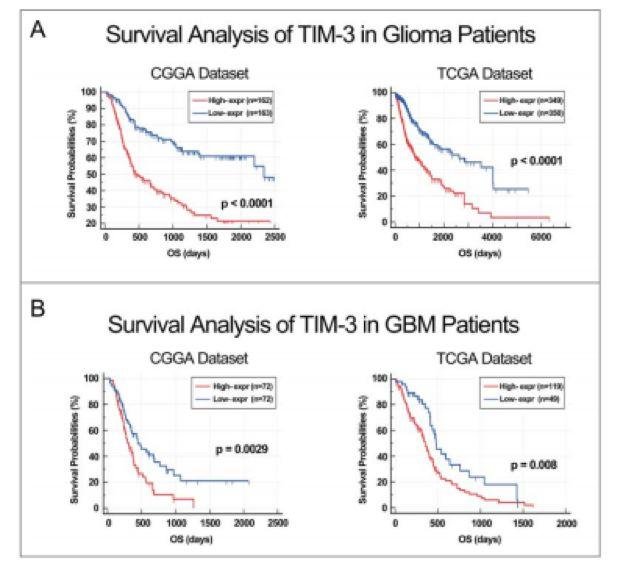 5.3 分的生信文章解读——一篇有关神经胶质瘤与 TIM- 3 基因的纯生信文章
