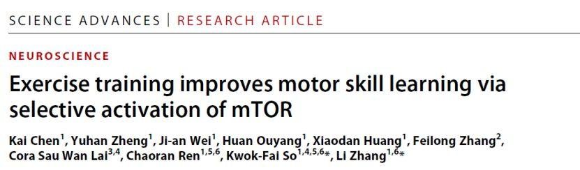 张力、苏国辉团队发现运动改善学习记忆的关键机制（IF=12.8）