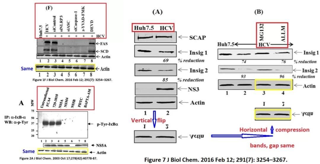 造假牛人 Gulam Waris1 年内才被撤稿 5 篇 SCI！又有 6 篇文章被质疑