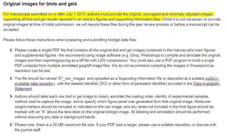 最新！PLOS ONE 及 Biology 要求所有投稿作者提供 WB 原始数据！