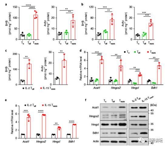 华中科技大学黄波教授评上长江和杰青后再次在顶级期刊上发表论文