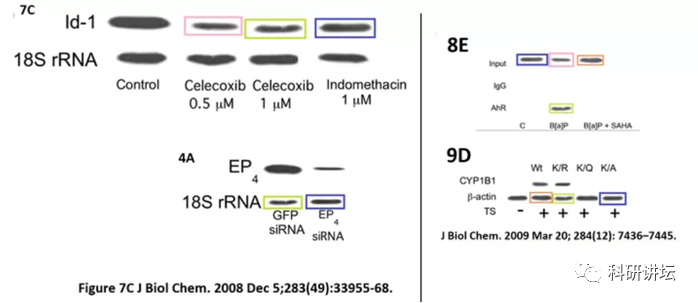 Andrew J Dannenberg 研究团队又有 9 篇 SCI 论文被撤稿